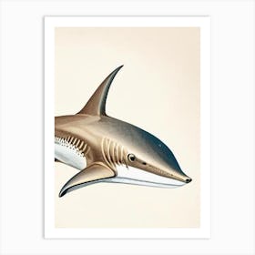 Bronze Whaler Shark Vintage Art Print