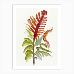 Cinnamon Fern Wildflower Watercolour 2 Art Print