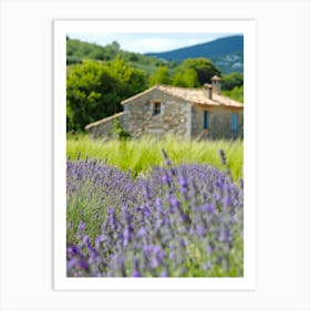 Lavender Field 20 Art Print