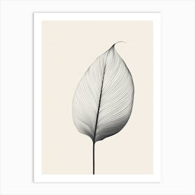 Lines Leaf Art Print