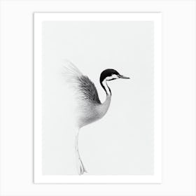 Grebe B&W Pencil Drawing 1 Bird Art Print