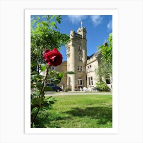 Red Rose In Front Of Scottish Castle Art Print