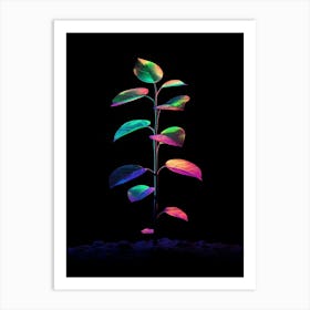 Rainbow Plant 19 Art Print