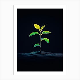 Image Of A Young Plant Art Print