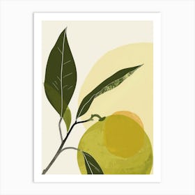 Limes Close Up Illustration 4 Art Print