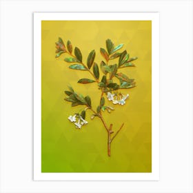 Vintage White Honeysuckle Plant Botanical Art on Empire Yellow n.1621 Art Print