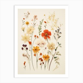 Pressed Flower Botanical Art Wildflowers 6 Art Print