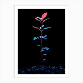 Plant In The Dark 24 Art Print