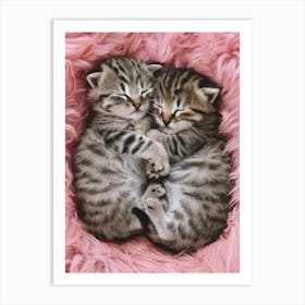 Cute Kittens Art Print