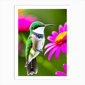 Female Ruby Throated Hummingbird -Reimagined 9 Art Print