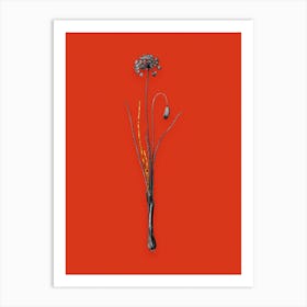 Vintage Autumn Onion Black and White Gold Leaf Floral Art on Tomato Red n.0689 Art Print