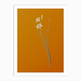 Vintage Gladiolus Botanical on Sunset Orange n.0402 Art Print