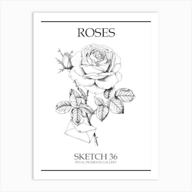 Roses Sketch 36 Poster Art Print