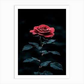 Dark Rose 63 Art Print