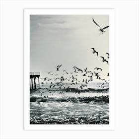 Seagulls Flying Over Pier Art Print