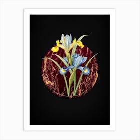 Vintage Spanish Iris Botanical in Gilded Marble on Shadowy Black Art Print