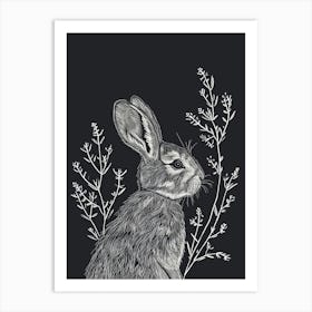 Chinchilla Rabbit Minimalist Illustration 4 Art Print