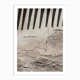 Shadows On A Wall Art Print