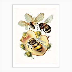 Wax Bees 4 Vintage Art Print