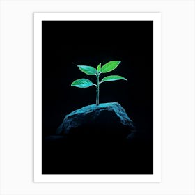 Plant Growing On A Rock 1 Art Print