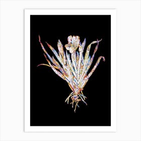 Stained Glass Crimean Iris Mosaic Botanical Illustration on Black n.0331 Art Print