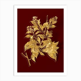 Vintage American Bittersweet Botanical in Gold on Red n.0262 Art Print