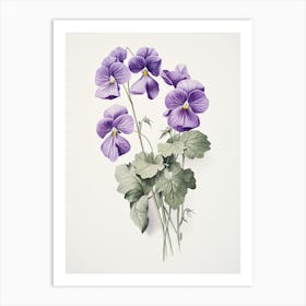 Violets Flower Vintage Botanical 3 Art Print
