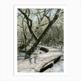 Wooden Bridge In The Woods In The Moerputten In Den Bosch Art Print