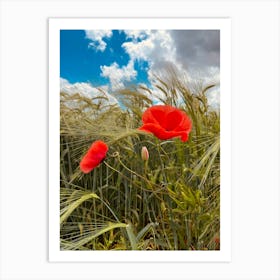 Red Poppies In A Wheat Field Art Print