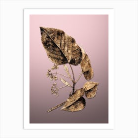 Gold Botanical Linden Tree Branch on Rose Quartz n.4669 Art Print
