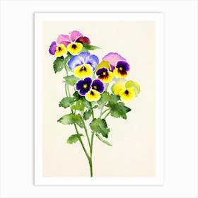 Pansy Vintage Flowers Flower Art Print