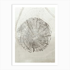 Neutral Tree Ring Stump 3 Art Print