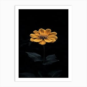 Yellow Flower 5 Art Print