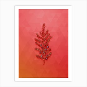 Vintage Common Juniper Botanical Art on Fiery Red n.0296 Art Print