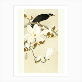 Myna On Magnolia Branch (1900 1910), Ohara Koson Art Print