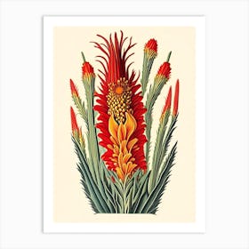 Red Hot Poker Wildflower Vintage Botanical Art Print