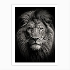 Black And White Photograph Of A Lion Art Print