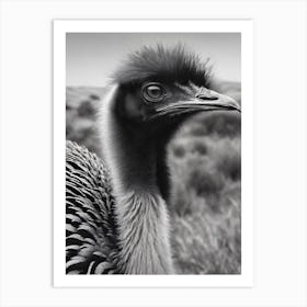 Emu in the wild Art Print