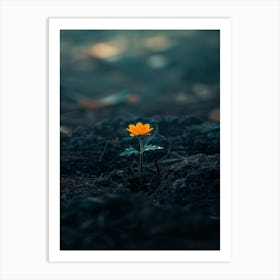 Single Flower In The Dark 27 Art Print