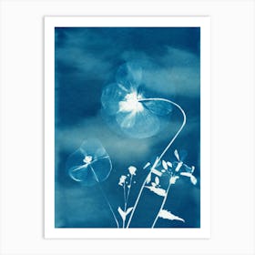 Blue Poppies Art Print