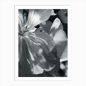 Close up flower Art Print