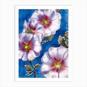 White Hollyhocks On Blue Art Print