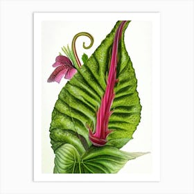 Hart's Tongue Fern Wildflower Watercolour 2 Art Print