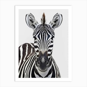 Zebra Portrait Art Print