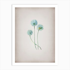 Vintage Blue Leek Flower Branch Botanical on Parchment n.0818 Art Print