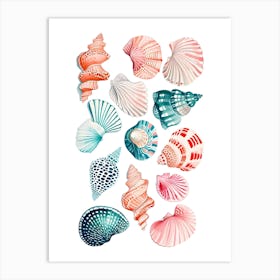 Sea Shells 2 Art Print