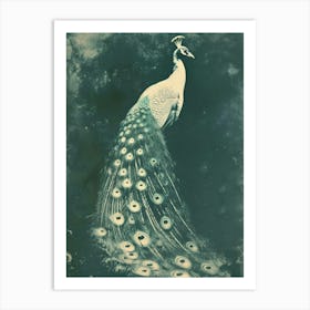 Vintage Peacock Photograph With Feathers Art Print