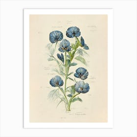 Blue Flowers Botanical Farmhouse Art Print