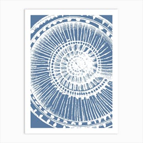 Seashell On A Blue Background Art Print