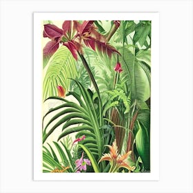 Jungle Botanicals 3 Botanical Art Print